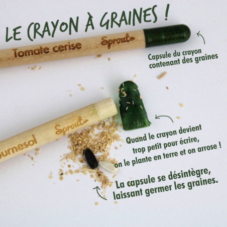 Crayon capsule de graines - Crayon à planter personnalisé écologique