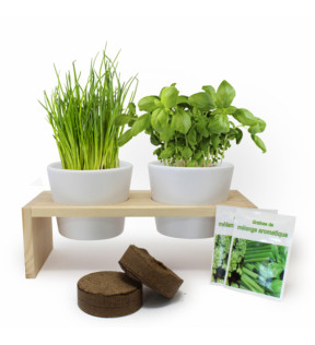 Plante de bureau avec plateau en bois naturel et deux mini-potagers - Génicado