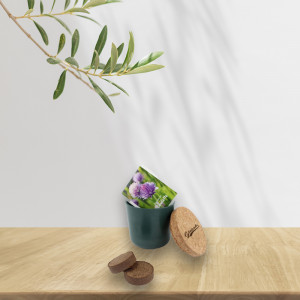 Kit plante de bureau avec un pot en fibres de bambou - Génicado