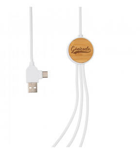 Câble USB personnalisé publicitaire