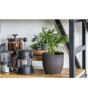 Pot pour plante de bureau en marc de café fabrication européenne