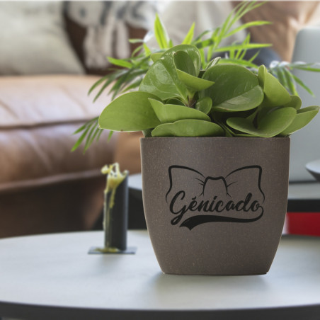 Pot plante de bureau en marc de café made in Europe - Génicado