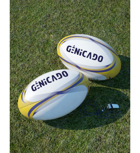 Mini ballon de rugby
