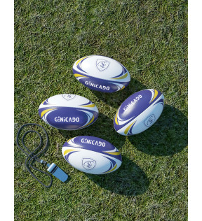 Ballon de rugby taille 5 officielle en PVC lisse