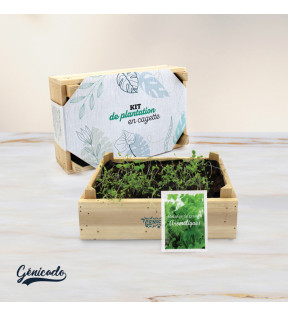 Kit de plante avec sa cagette bois, des graines et un sac terreau - Génicado