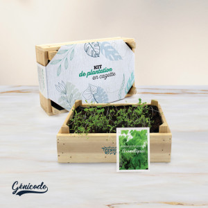 Kit de plante avec sa cagette bois, des graines et un sac terreau - Génicado